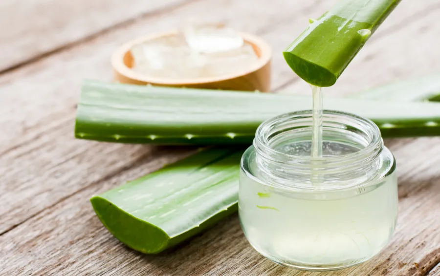 900x565_aloe-vera-tiene-multiples-beneficios-para-piel-1060543-111217