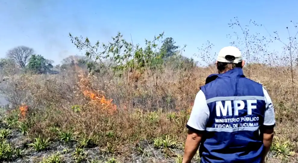 incendioenlosvallistos